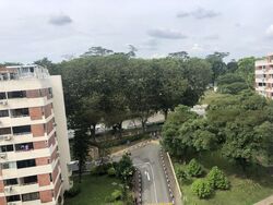 Pandan Valley (D21), Condominium #469116671